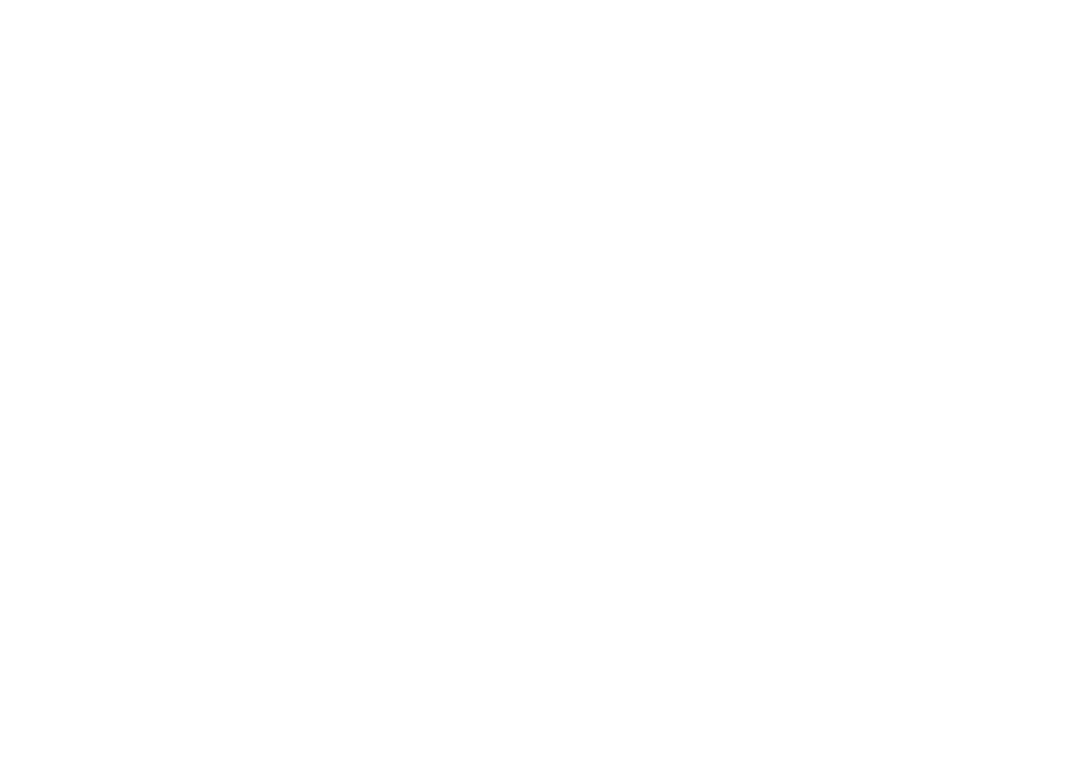 Larissa Pronk Photography